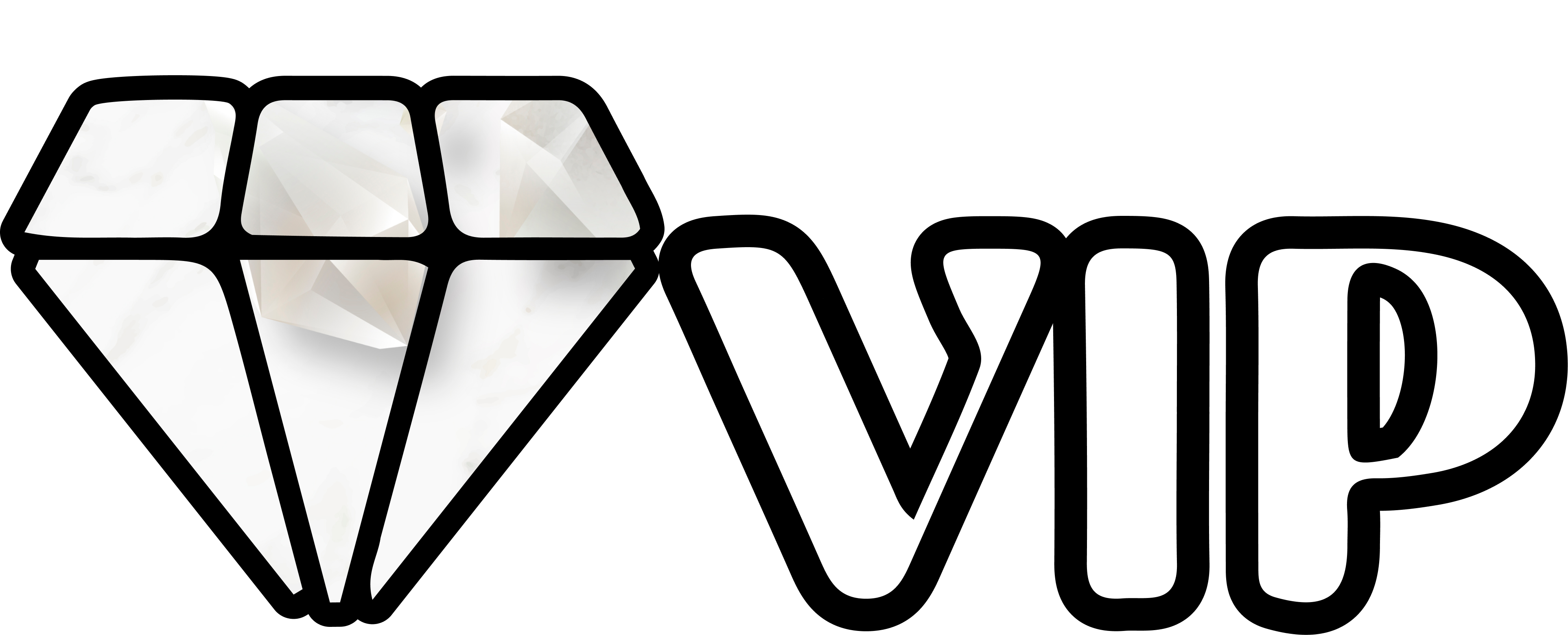 seinvip.com-logo